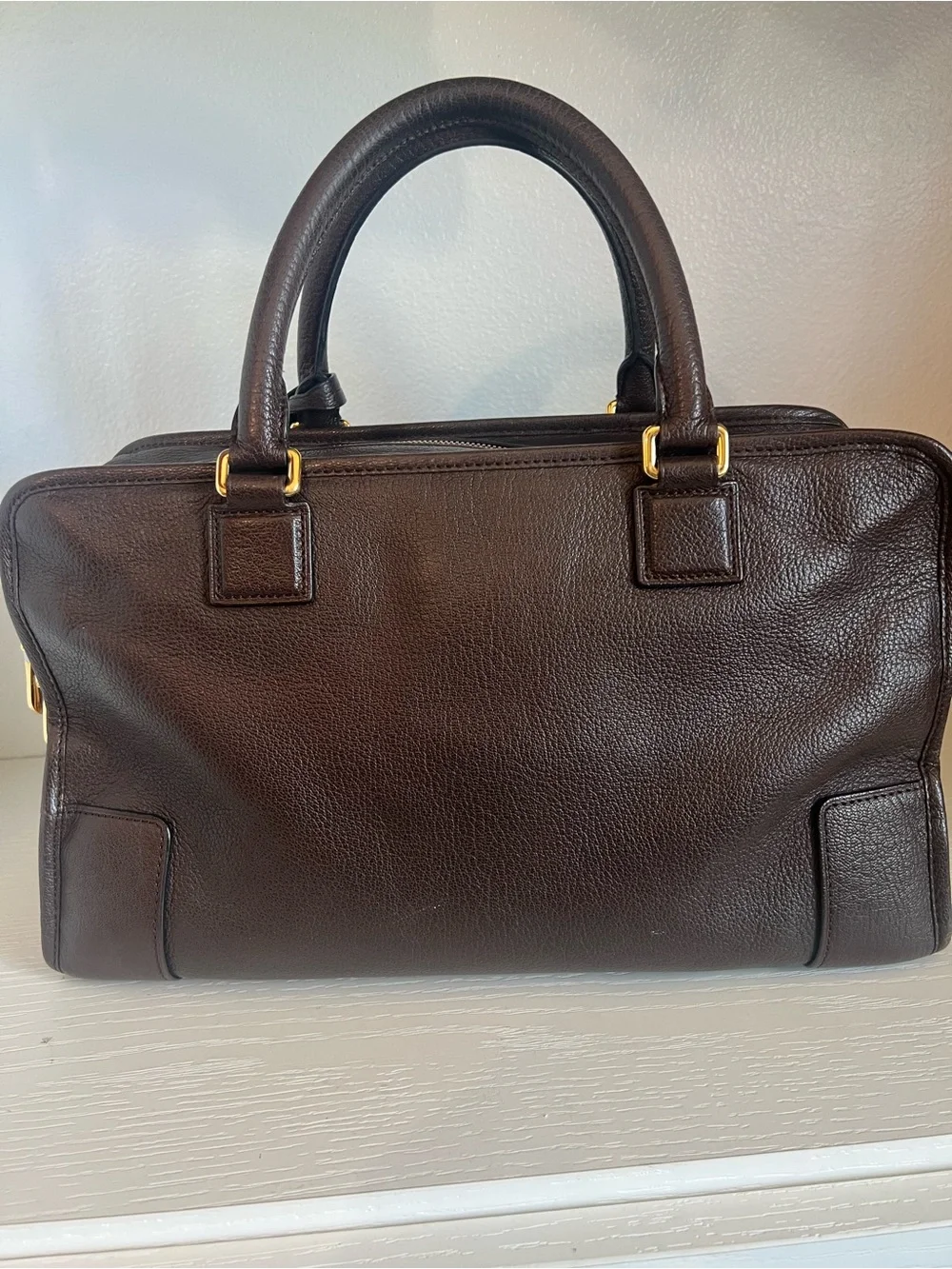 Loewe Amazona Bag